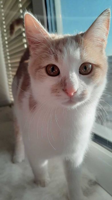 Котик (хлопчик), 1,5 роки