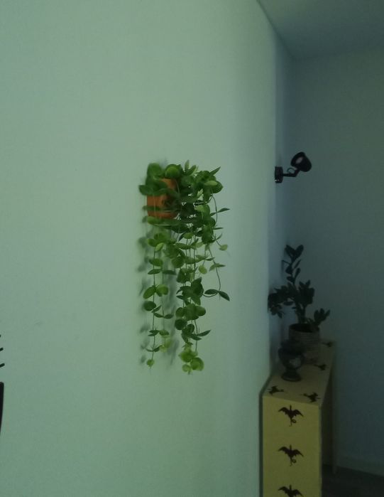 Dois apliques  de parede pretos