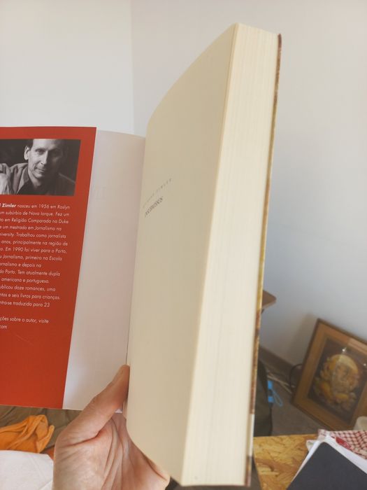 Insubmissos_ Richard Zimler