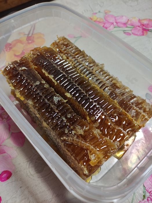 Продам лісовий мед