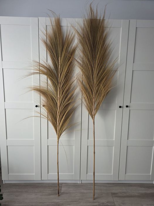 2x Trawa egzotyczna, boho, bambus, wystrój do domu, studia foto