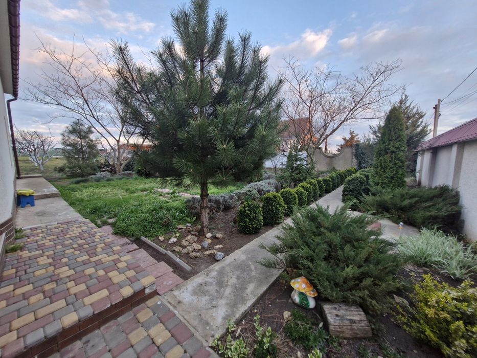 Дом в тихом месте для большой семьи