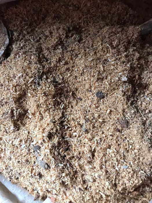 Rezerwacja Trociny np do ogrodu