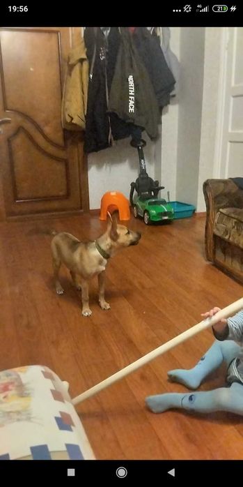 Дівчинка звати Дюна