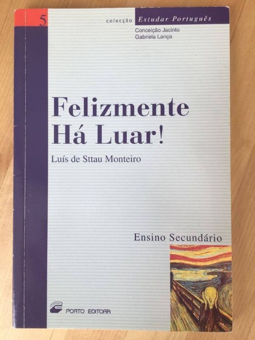 Analysis of the Work "Fortunately, There Is Moonlight!"
