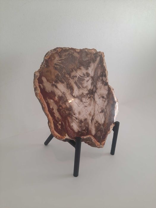 Peça decorativa de madeira petrificada.