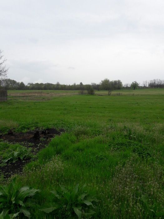 SALE Продам земельну ділянку Криве Озеро