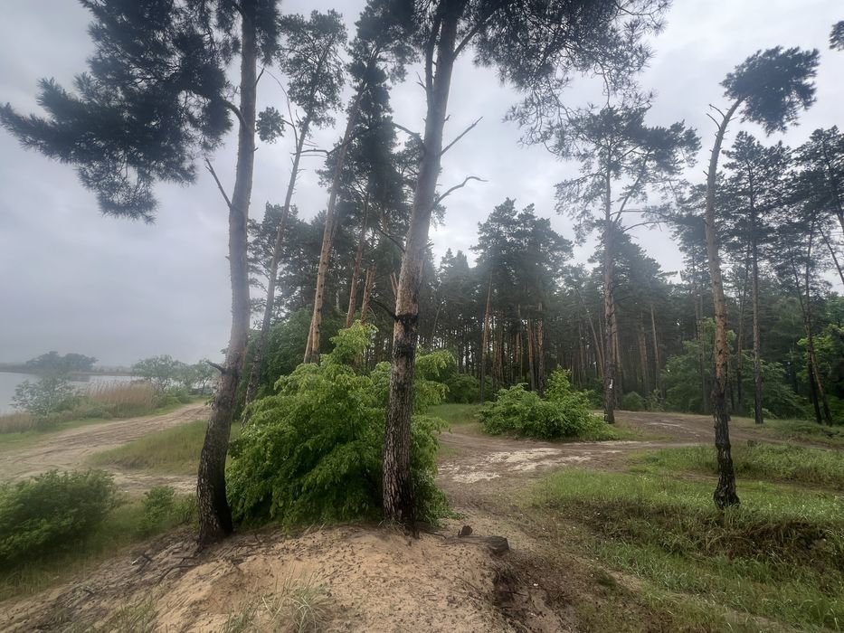 Продажа участка 108соток Вода Лес Таценки/земельна ділянка Ліс Вода