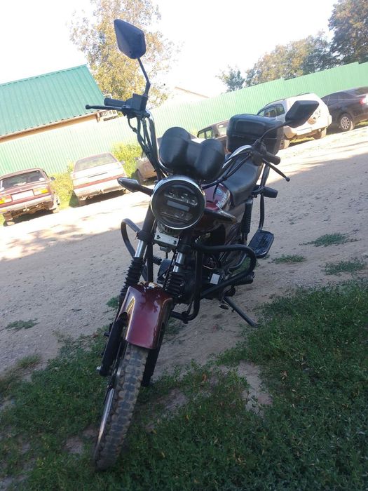 Продам помед мустанг