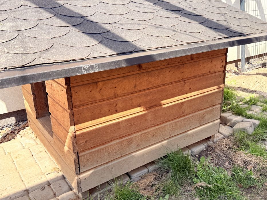 Buda dla duzego owczarek niemiecki