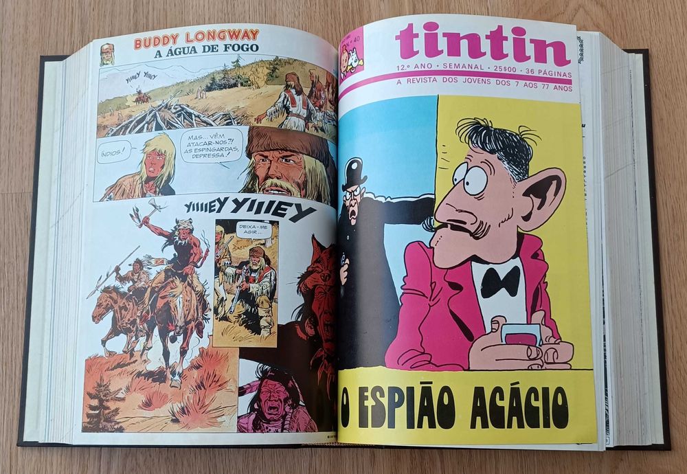 TINTIN - Fascículos encadernados por semestre