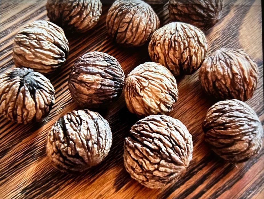 Orzech czarny bez łupiny 1 kg