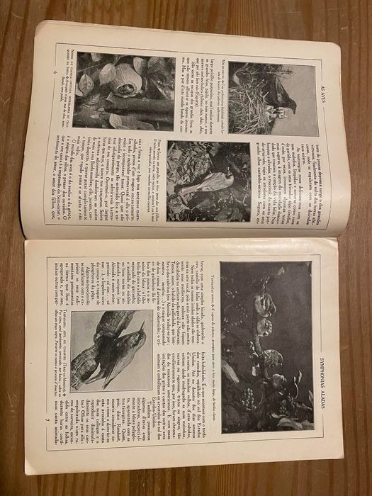 As Aves - Enciclopédia pela Imagem (portes grátis)