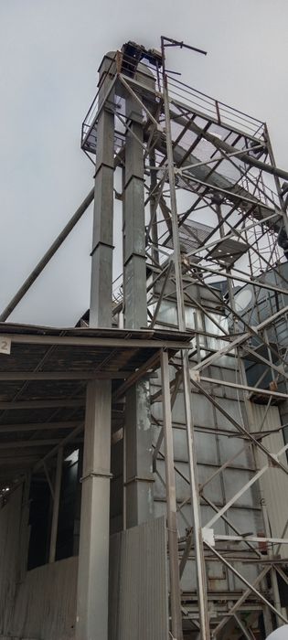 Podnośnik zbożowy kubełkowy 50t/h