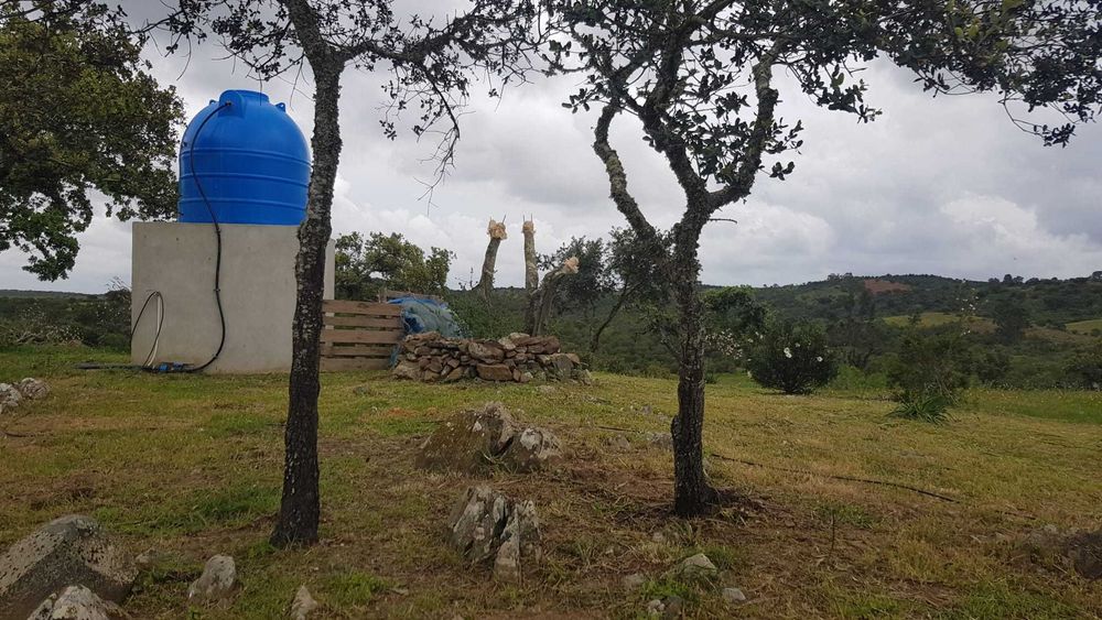 Quinta rica em água em Martim Longo