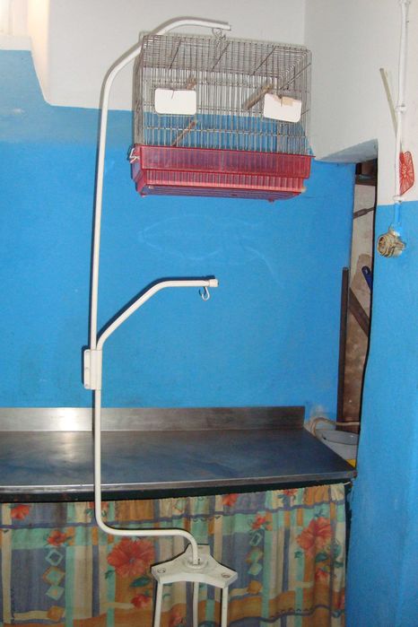 Suporte  de  gaiolas