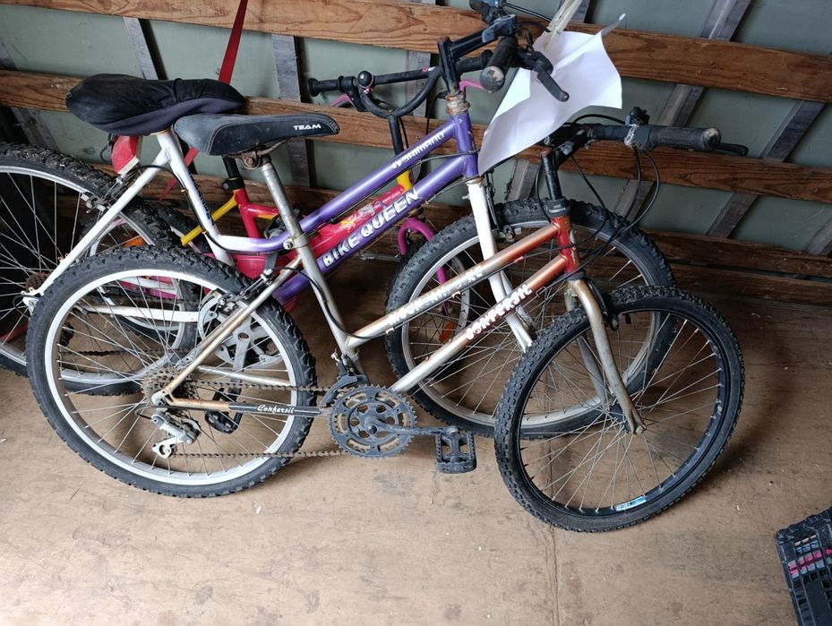 Lote de bicicletas