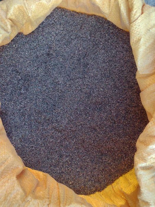 Tymianek nasienny 2025 liść