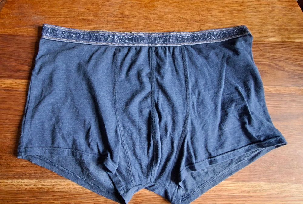 2 pary  męskie bokserki (trunks/boxer briefs) marki Cedarwood State z elastycznym pasem z napisem.