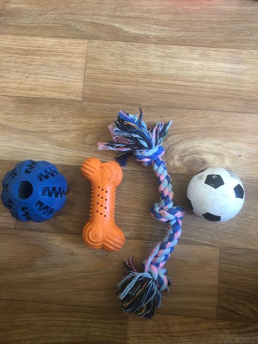 Аксессуары для собак