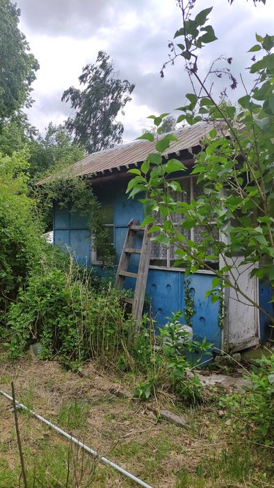 Działka ROD Witaminka - Widok 3