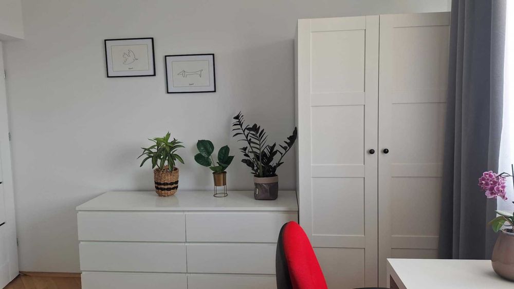 Mieszkanie dla studentów