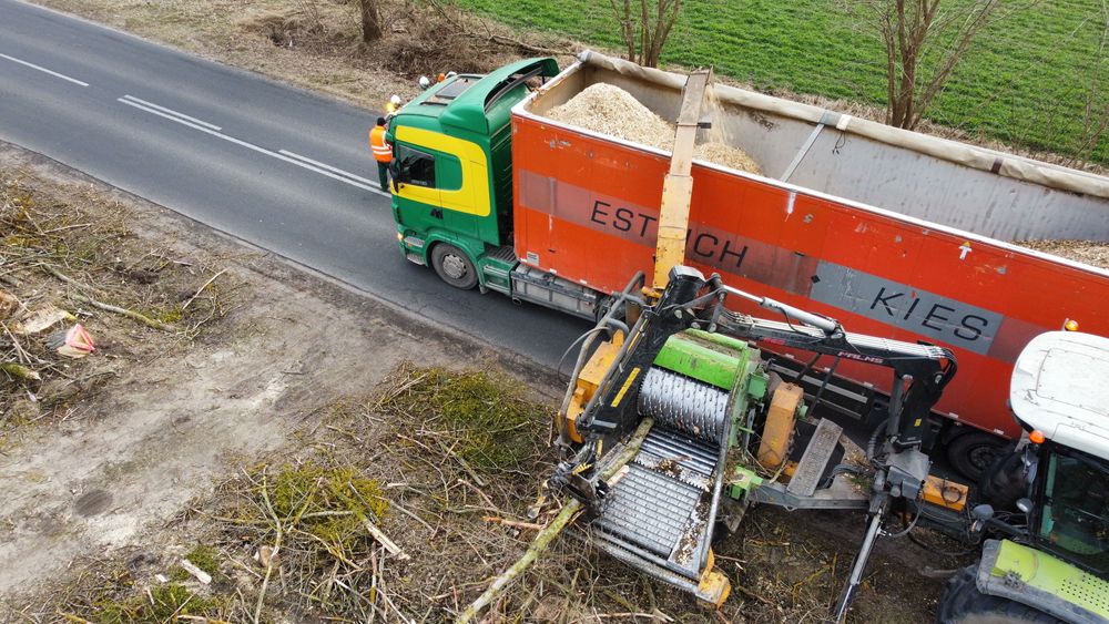 Wycinka lasów samosiewów frezowanie pni zrębkowanie /NAJLEPIEJ/