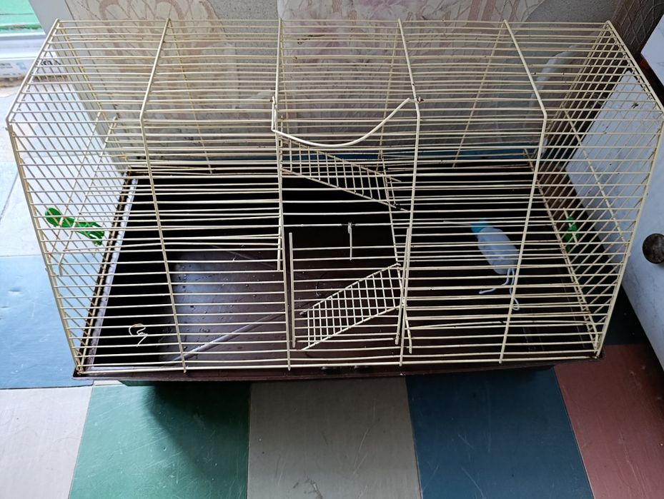 Клітка для гризунів