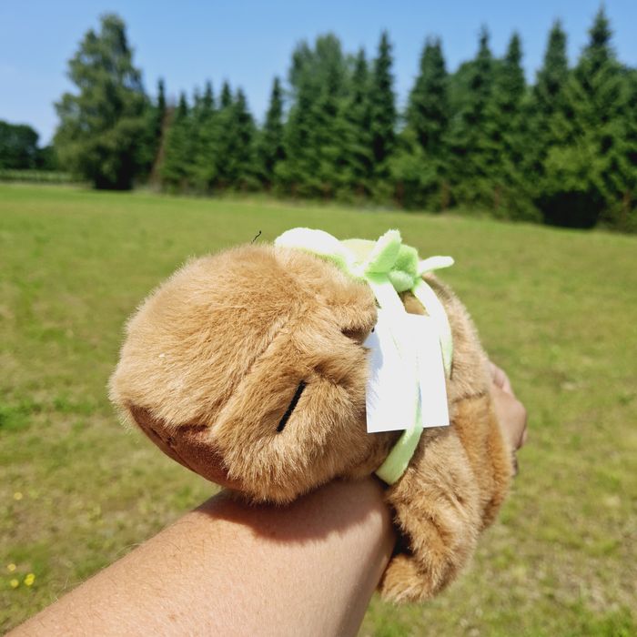 Kapibara maskotka na rękę z dźwiękiem