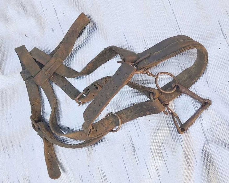 stara uprząż końska