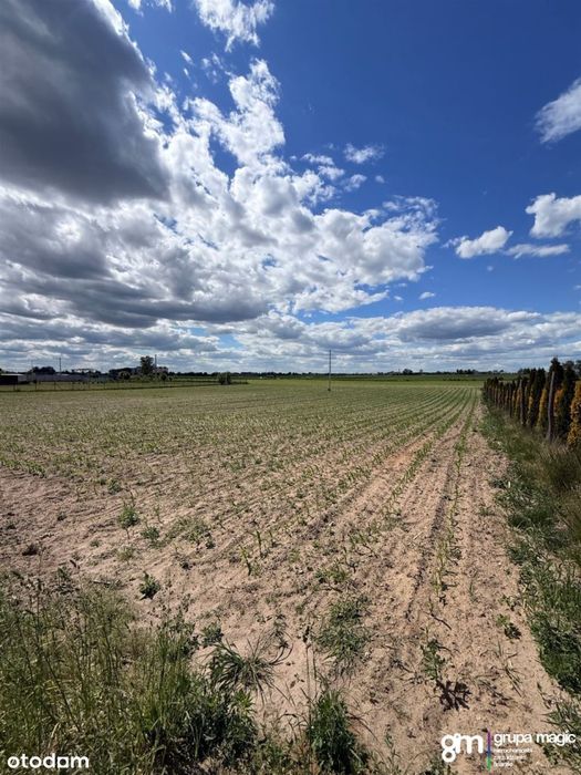 Działka budowlana 2253 m²| Wałycz, Wąbrzeźno