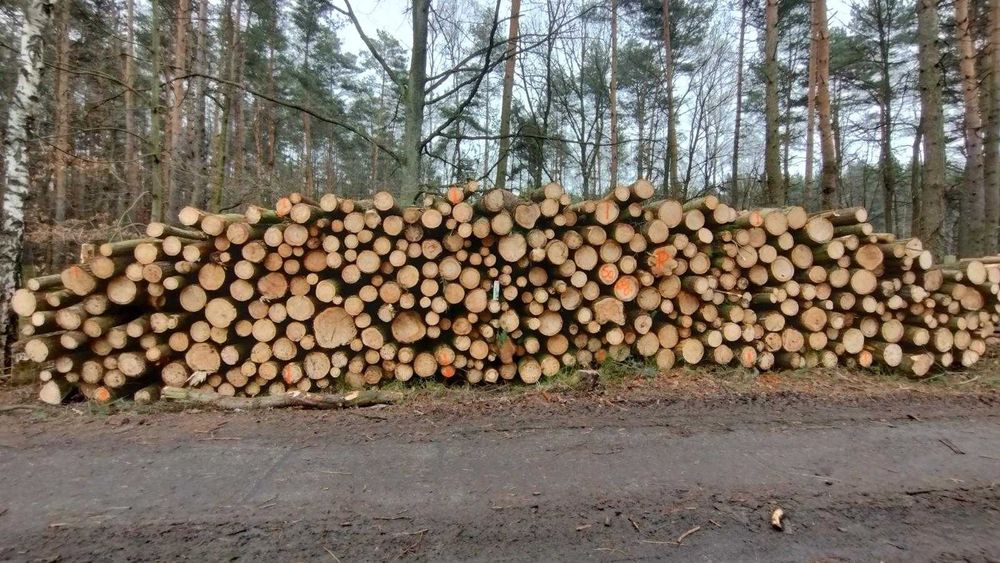 Drewno kominkowe Hurt-Detal w wałkach Transport cała PL Okazja!!!