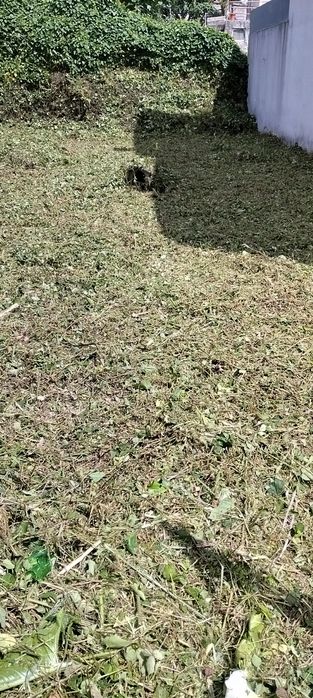 Limpeza de terrenos manutenção e construção de jardins