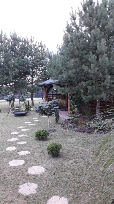 Domek letniskowy, do wynajęcia Krasnobród