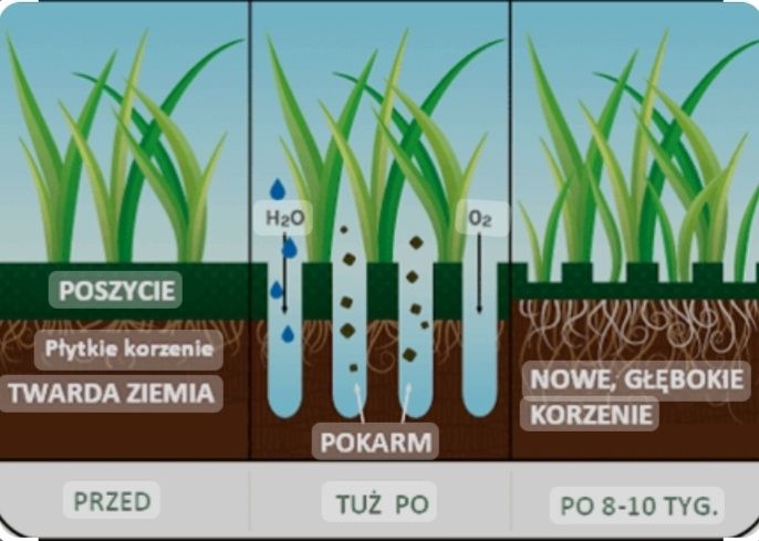 Reg. Trawników Wertykulacja Aeracja Rurkowa Piaskowanie Nawodnienia