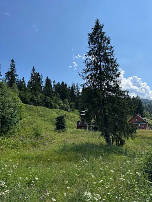 Продаж ділянки у Славське (14 сот.), БЕЗ КОМІСІЇ, вул. Стуса.