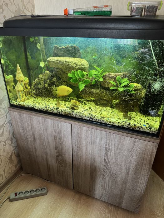 Продам аквариум 200 л