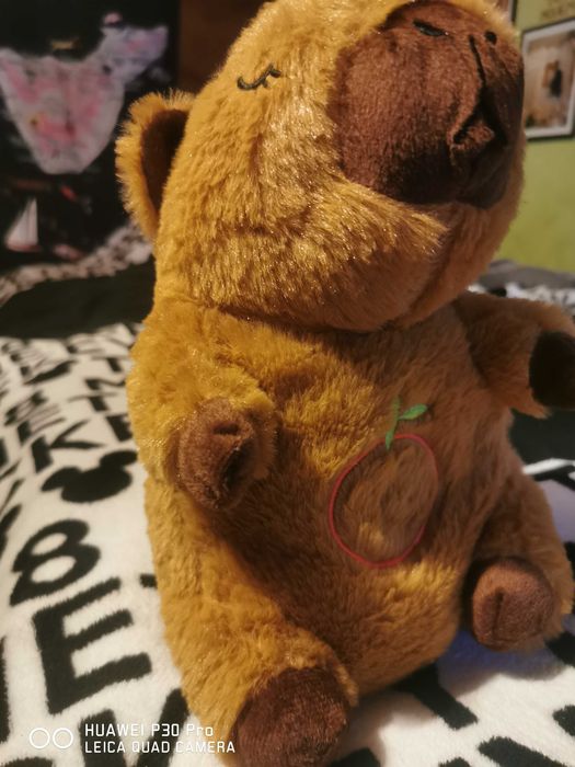 Interaktywna  kapibara pluszowa przytulanka-usypianka 40 cm .1-3 lata