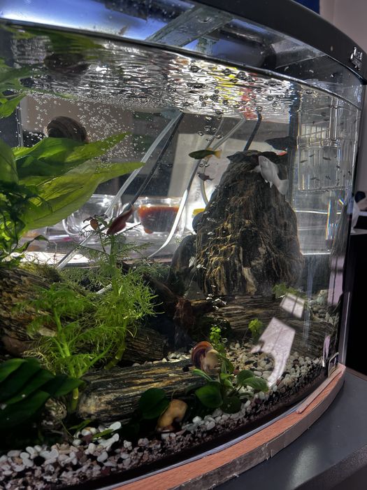 Акваріум 50 л діючий