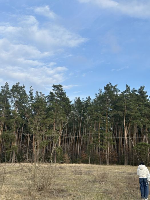Продам земельну ділянку в Рачках коло лісу