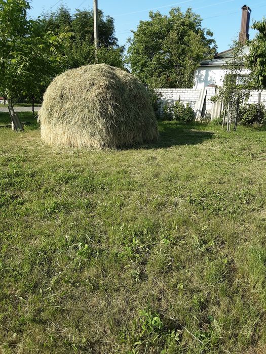 продати сіно, копиця