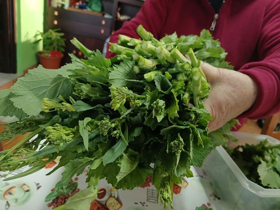 Grelos de Nabos  Biológicos NC