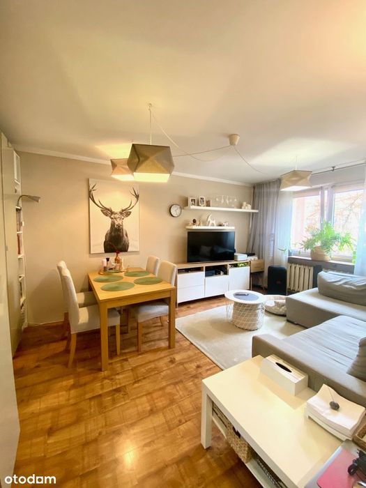 3-pokojowe mieszkanie z balkonem | 1 piętro | Mysłowice Brzęczkowice