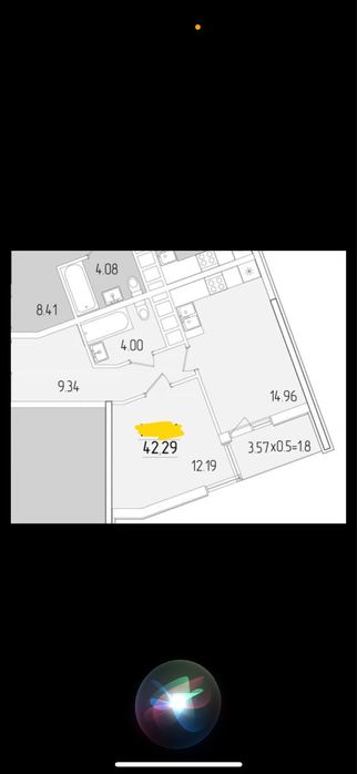 Кадор 67 жемчужина краснова, собственник, вид ипподром