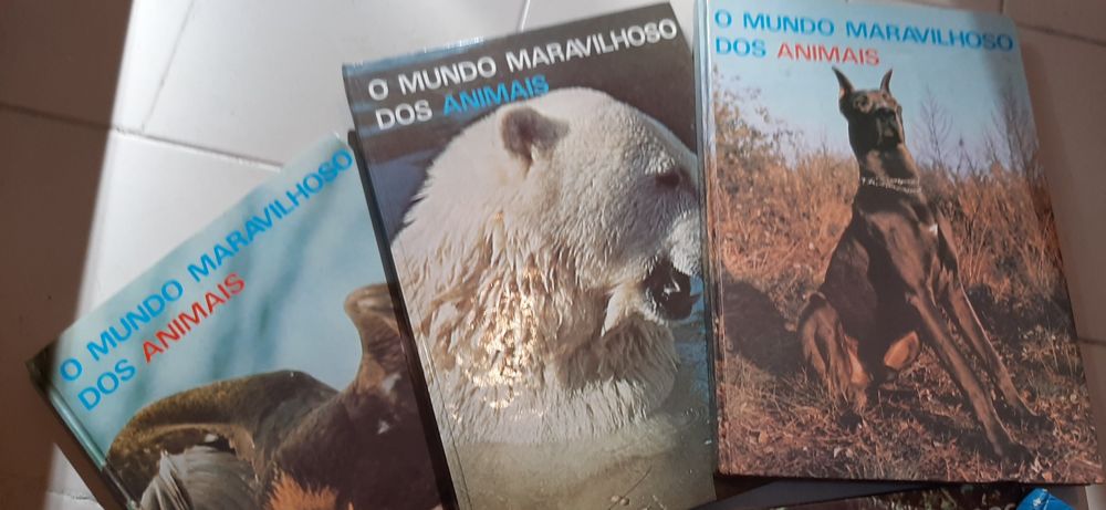 Coleção de 6 livros
