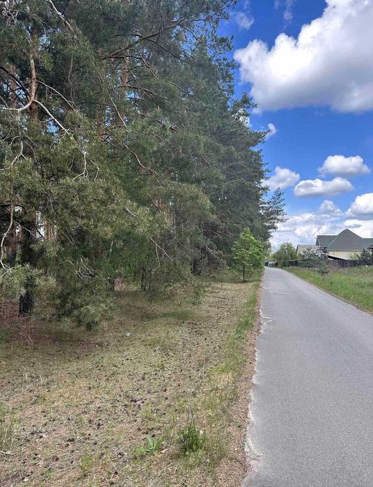 Будинок вашої мрії серед природи — лише 40 км від Києва!