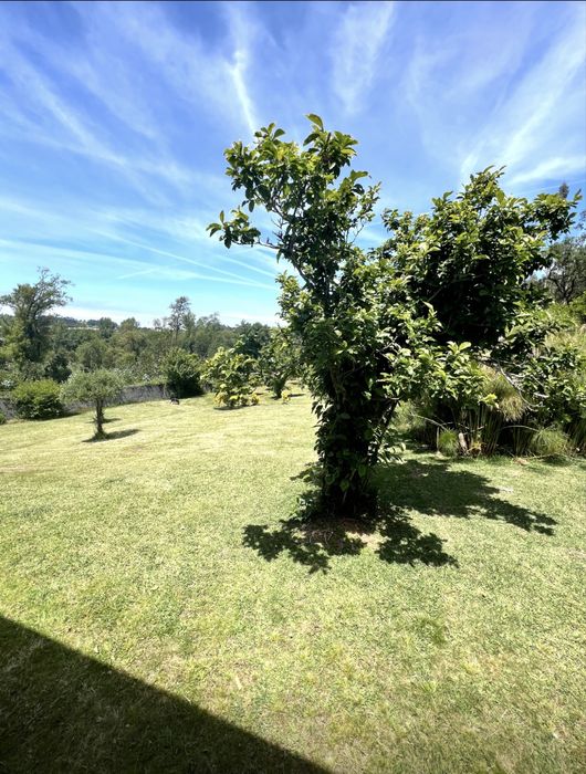 Espaço para festas- Natureza, Conforto e Privacidade