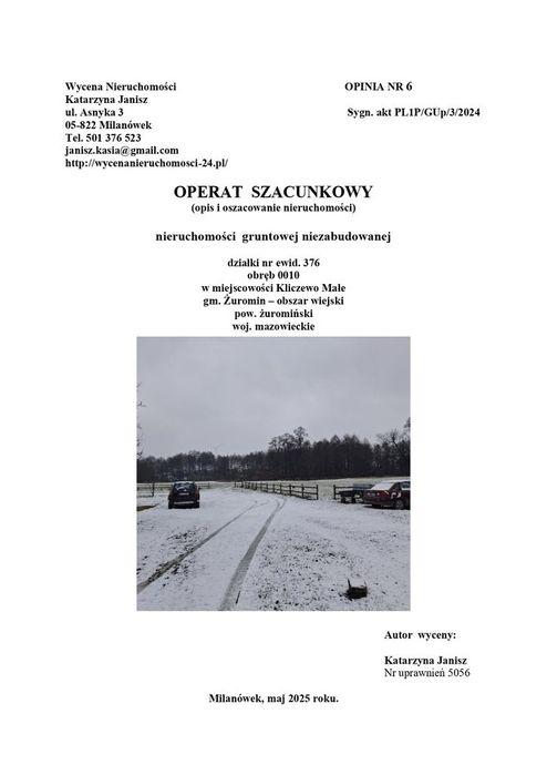 Syndyk sprzeda działkę - pozostałości parku dworskiego