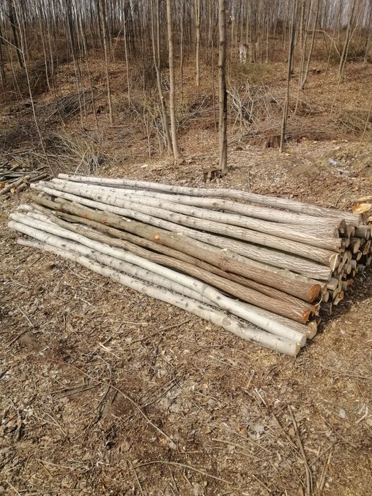 Стойки під монолітну плиту.