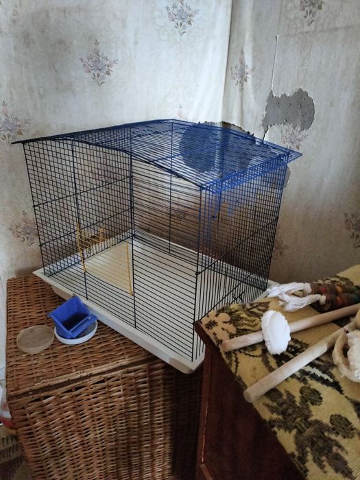 Клітка для папуг